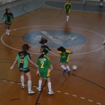 Futsal feminino